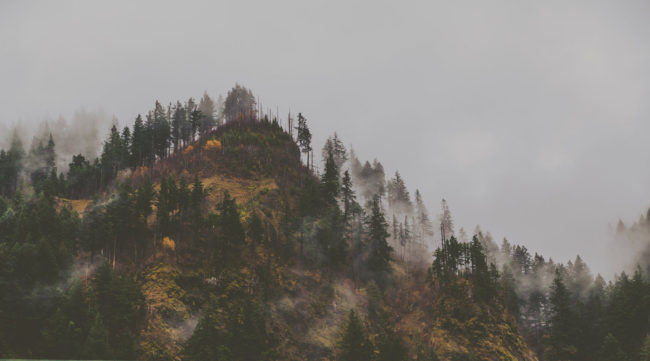 Mountain Ghosts Mako Miyamoto Photography Hills and Fog in the Gorge Oregon