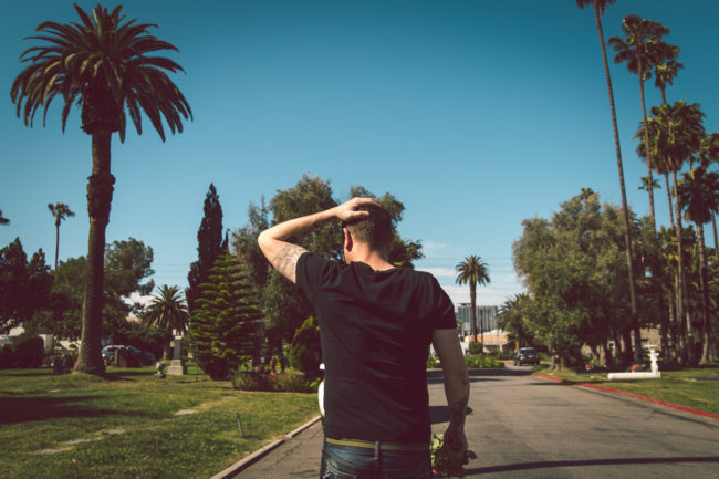 Hollywood Forever by Mako Miyamoto Travel and Lifestyle Photography palm trees cemetery gravestones black california