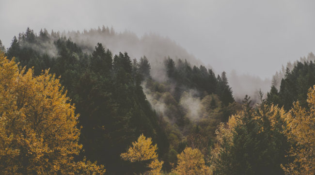 Mountain Ghosts Mako Miyamoto Photography Hills and Fog in the Gorge Oregon