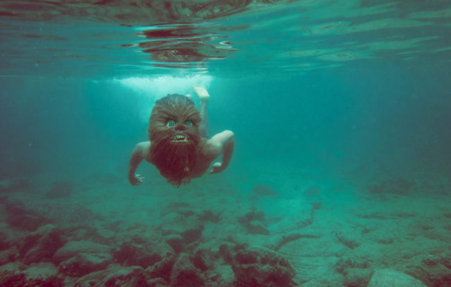 Aquaman Photograph by Mako Miyamoto. Wookie swimming underwater in the ocean of Kona, Hawaii