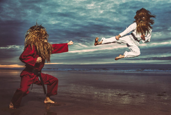 Stop Blocking My Fists with Your Face I Photograph by Mako Miyamoto. Wookie karate / kung fu showdown on the beach at sunset.