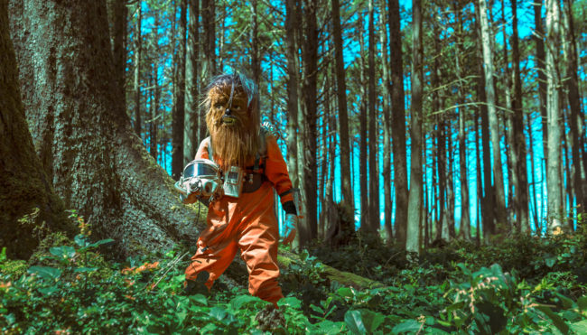 The Clearing I Photograph by Mako Miyamoto. Wookie astronaut explorer venturing out into the unknown forest. Created for the series Further West shown at Stephanie Chefas Gallery in Portland, OR